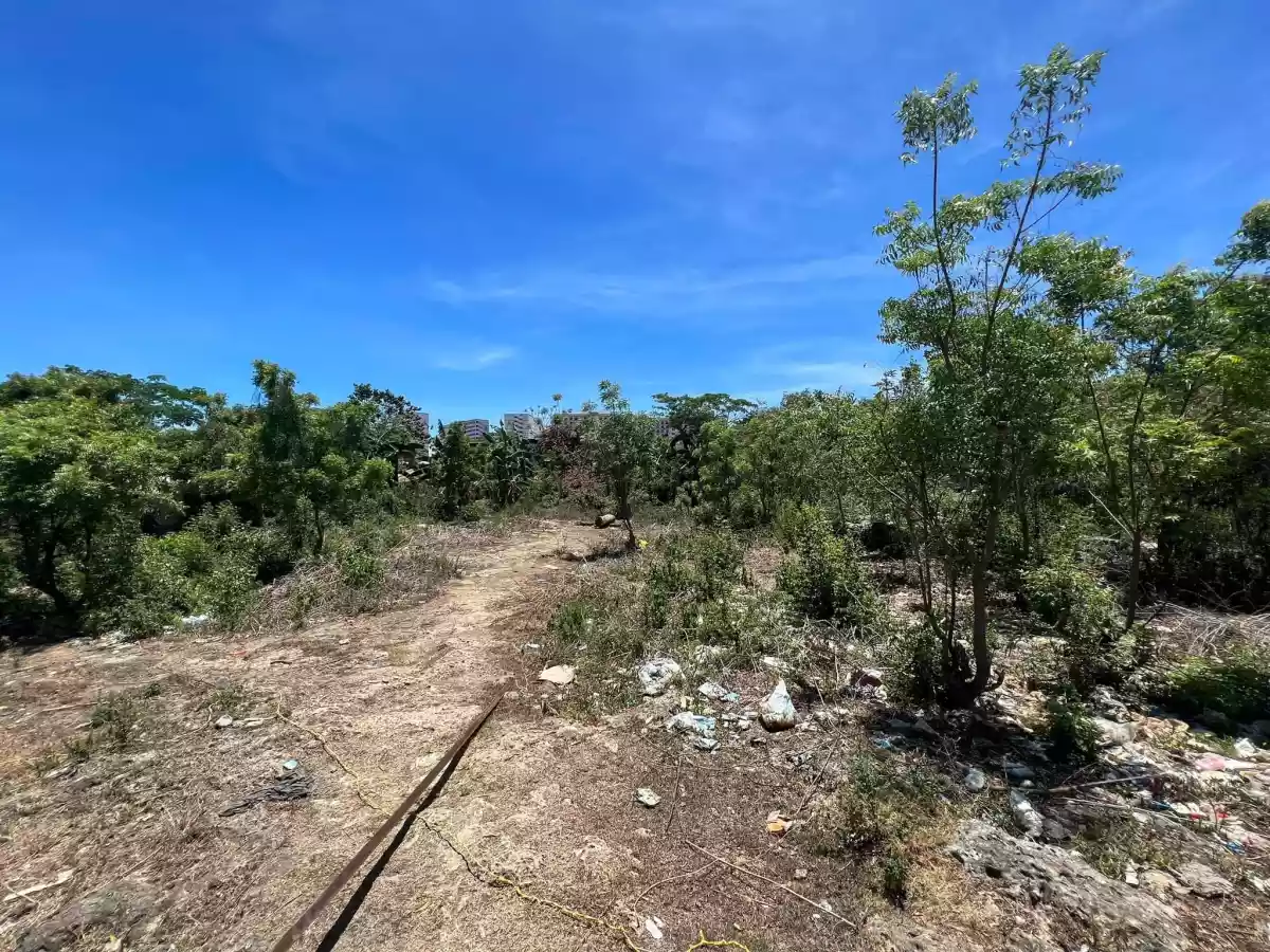 Lot for sale  - photo 5