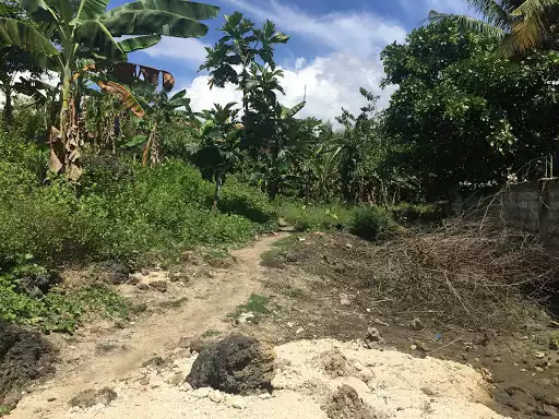 Beach lot in Tabuelan for sale! — Beach Lot in Tabuelan, Cebu, Philippines — Photo 4