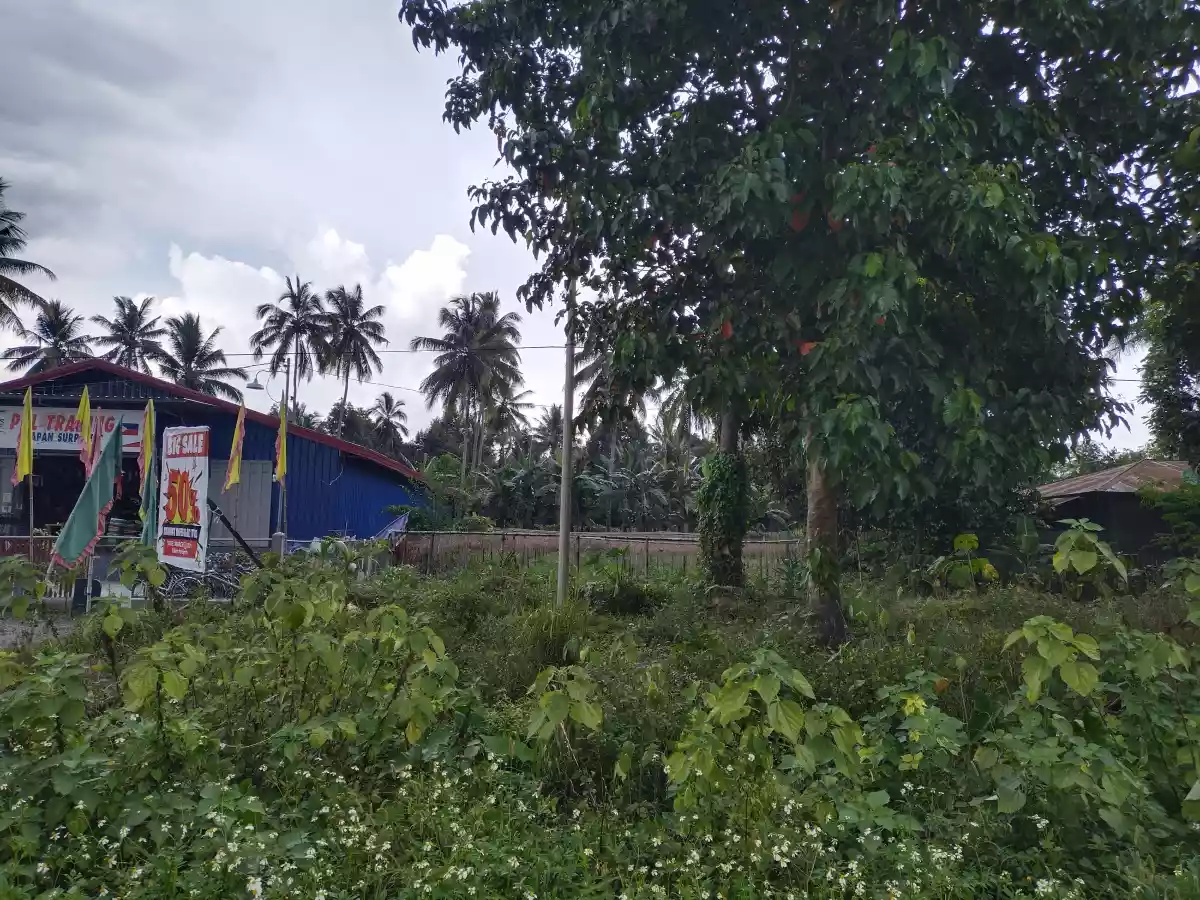 Along national highway — Commercial Lot in Polomolok, South Cotabato, Philippines — Photo 6