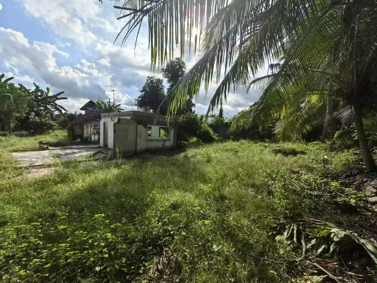 Lots for Sale in Batinguel Dumaguete City — Residential Lot in Dumaguete, Negros Oriental, Philippines — Photo 3