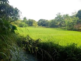 SUPER RUSH SALE ð…ð€ð‘ðŒ ð‹ðŽð“  ðŸð¨ð« ð’ð€ð‹ð„ 8.9561 ð‡ðžðœð­ðšð«ðžð¬, 150/sq m. LOWERED TO 100/sqm. - photo 4