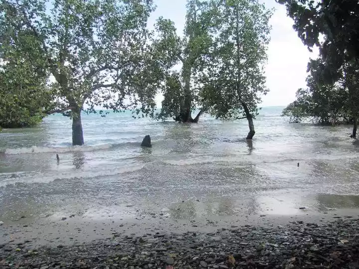 1 Hectare Beachfront Property for sale in San Rafael, Puerto Princesa City, Palawan