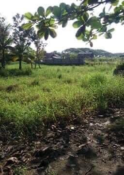 091-2014004196 — Residential Lot in Negros Occidental, Philippines — Photo 5