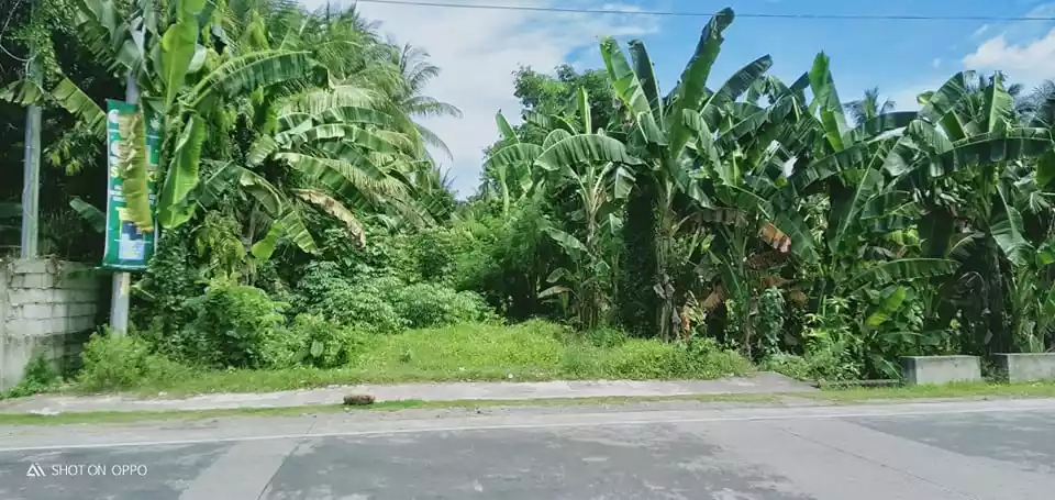 Commercial Lot For Sale - Along National Superhighway — Commercial Lot in Negros Oriental, Philippines — Photo 2