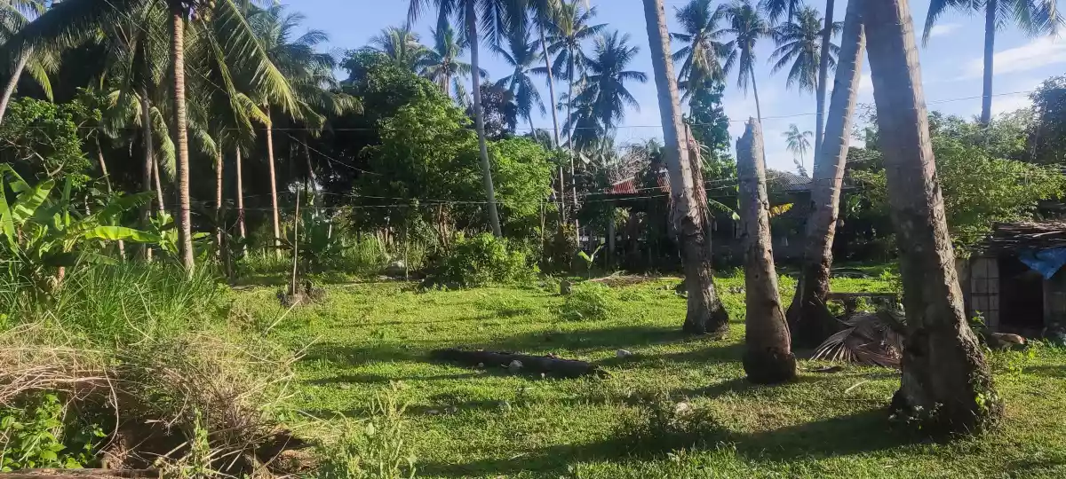 Lot for Sale — Residential Lot in Negros Oriental, Philippines — Photo 4