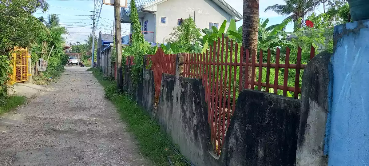 Residential lot - photo 3