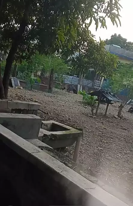 Ready to occupy corner lot townhouse near entrance gate for assume - photo 3