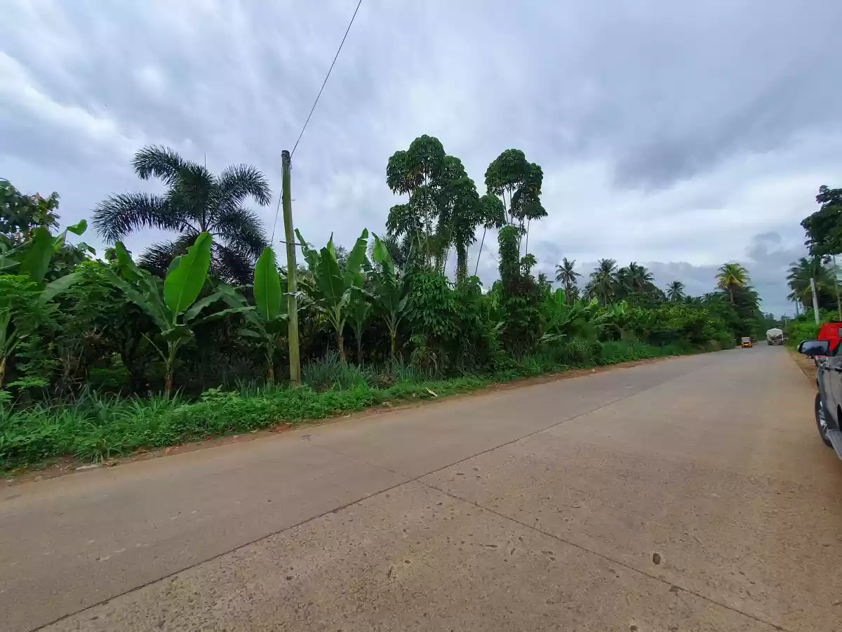 10 HECTARES LAND IN CALINAN DAVAO — Agricultural Lot in Calinan District, Davao City, Davao del Sur — Photo 6