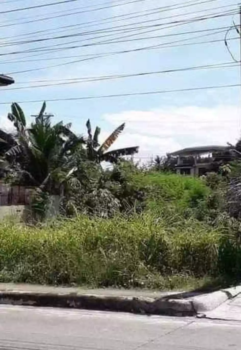 Corona Del Mar Lot — Residential Lot in Talisay, Cebu, Philippines — Photo 3