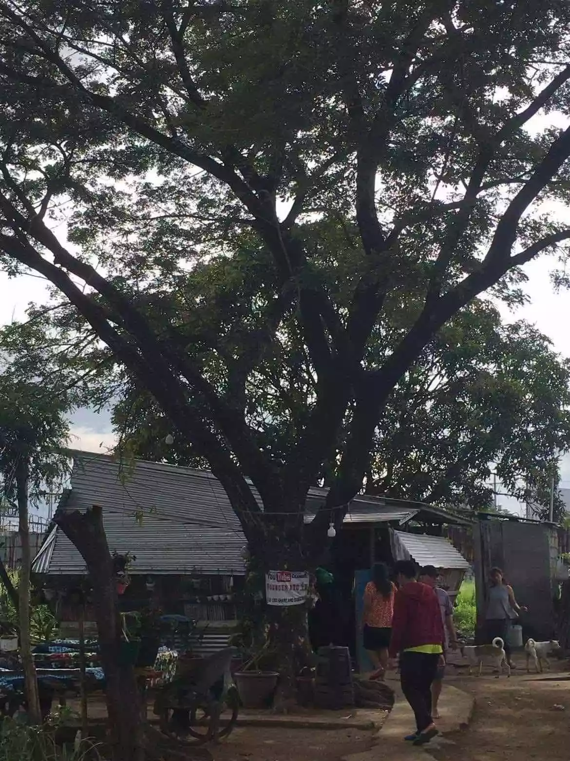 Commercial Lot for Sale — Space in Bocaue, Bulacan, Philippines — Photo 4