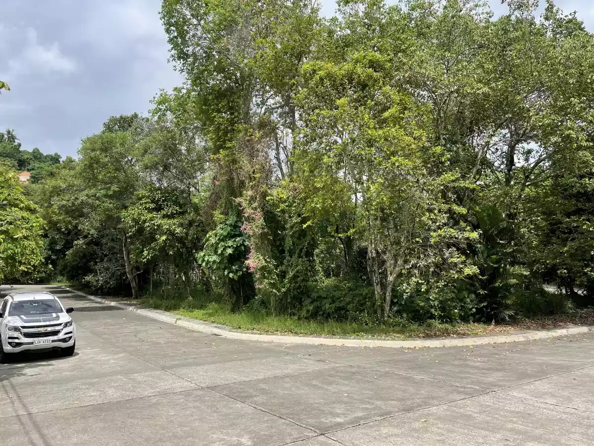 Open photo 12 of 19 — Las Terrazas Lot for Sale