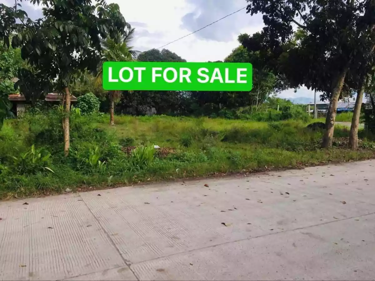1188sqm at Ligaya along road — Residential Lot in General Santos City, South Cotabato, Philippines — Photo 3