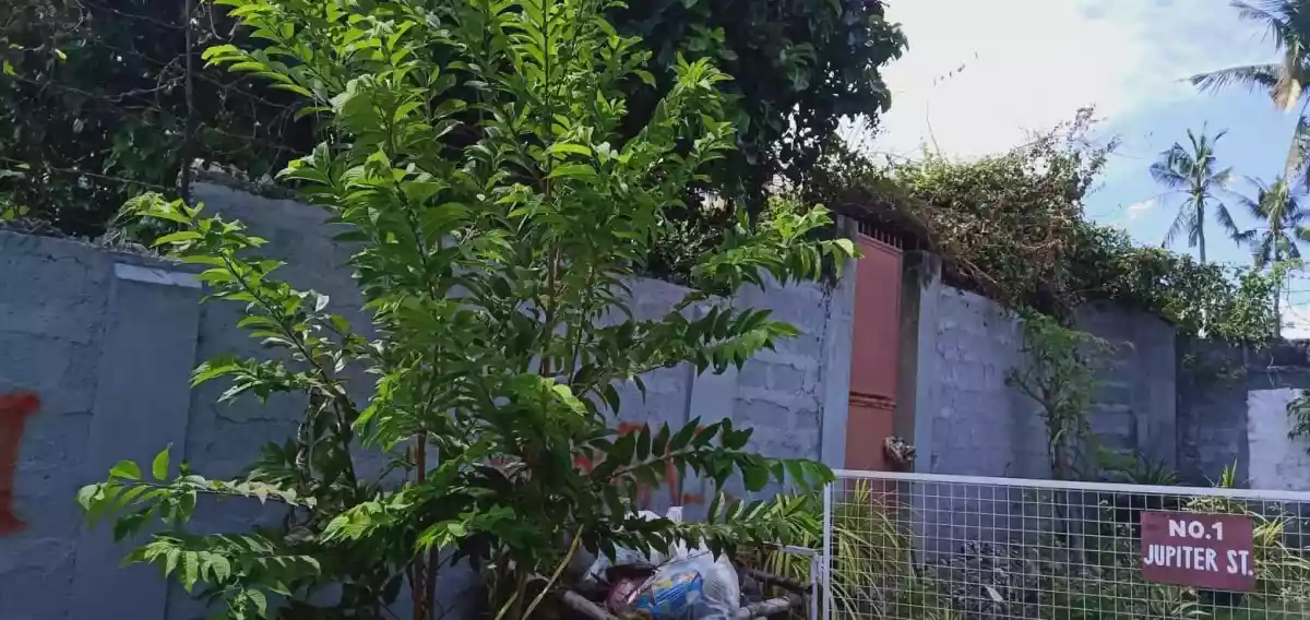 Residential Lot For Sale in Tisa Labangon Cebu - photo 4