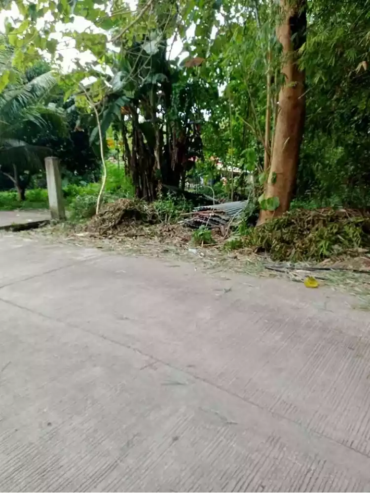 Upper cantel-e Lot  - photo 6