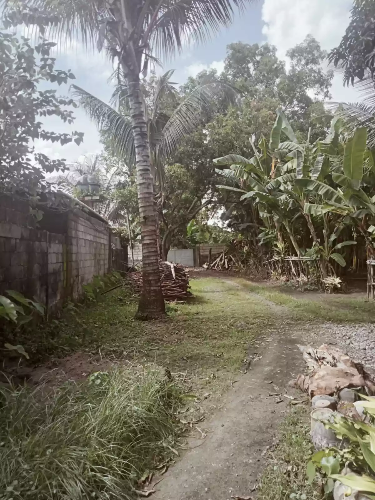 LOT for Sale! — Residential Lot in Sto Niño Road, Dumaguete, Negros Oriental — Photo 6