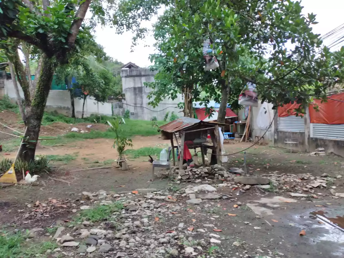 Lot only for Sale - photo 5