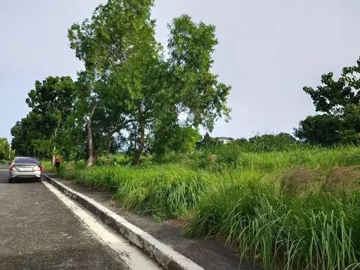 Overlooking subdivision lot - photo 5