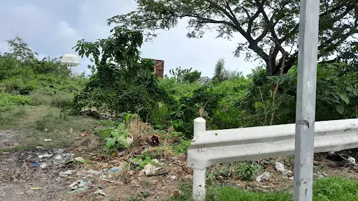 Commercial Lot for sale in Cordova — Commercial Lot in 8WHH+6V6, Lopez Jaena St, Tipolo — Photo 4