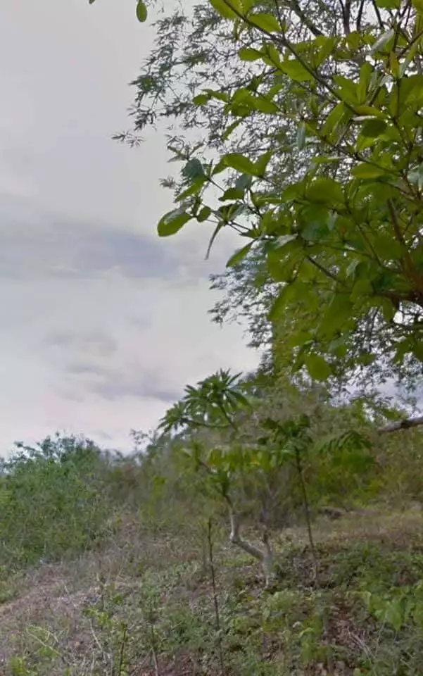 Affordable Residential Lot in Tagbilaran City for Sale! — Residential Lot in Tagbilaran City, Bohol, Philippines — Photo 2
