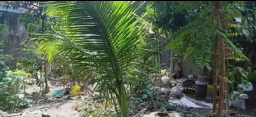 Residential Lot for Sale — Residential Lot in Cebu City, Cebu, Philippines — Photo 4