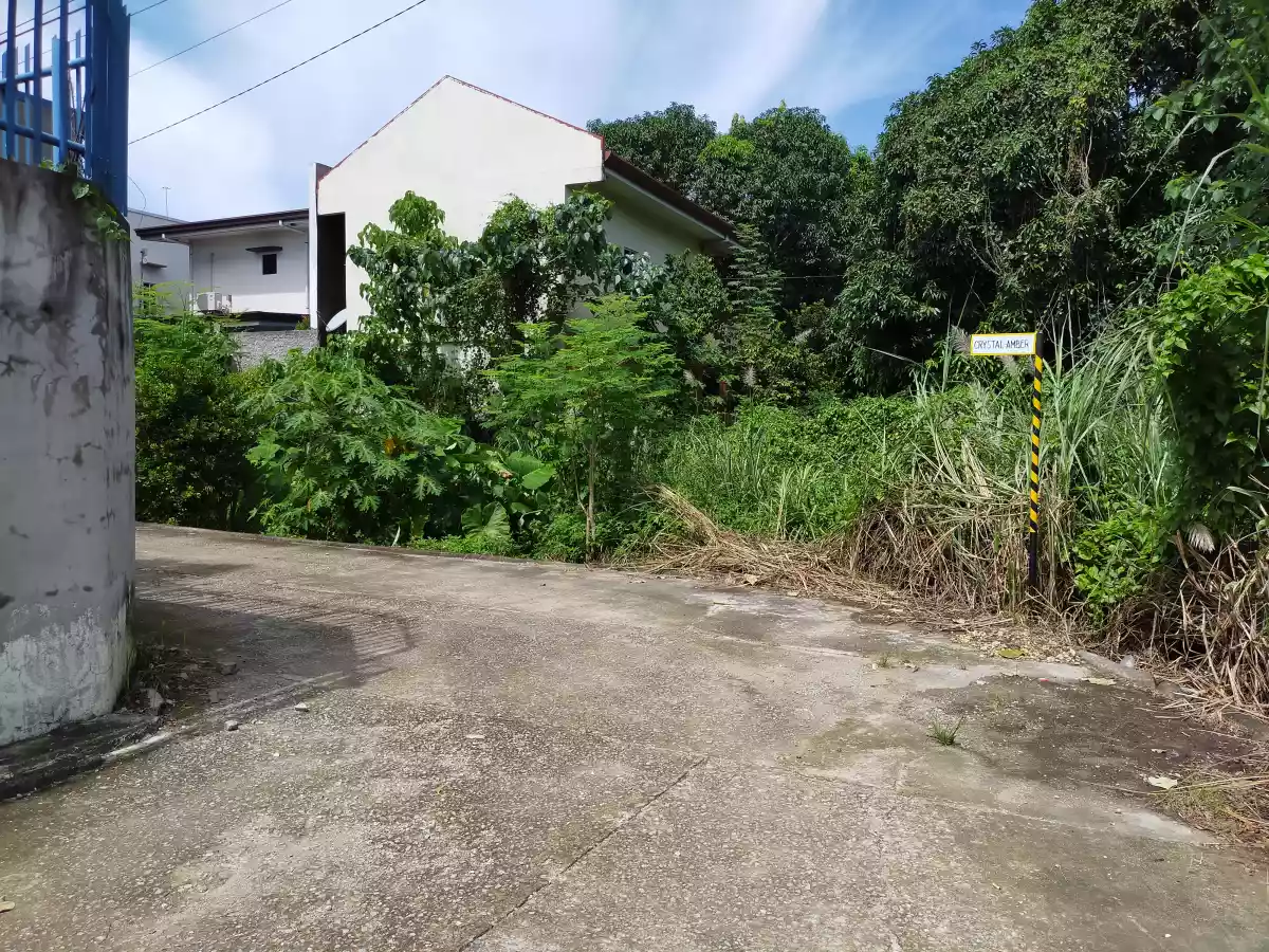 RESIDENTIAL LOT FOR SALE — Residential Lot in Bag ong Daan Road, Liloan, Cebu — Photo 4