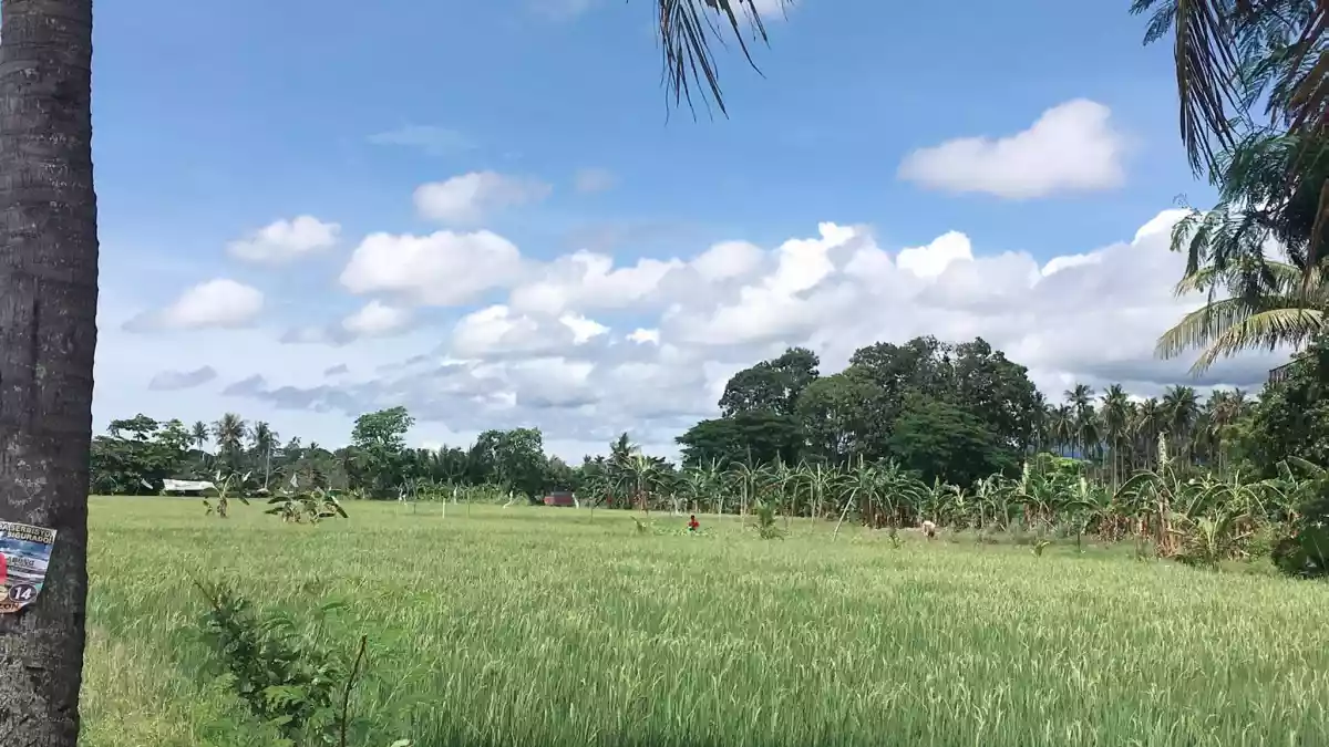 FOR SALE Agricultural /residential lot - photo 3