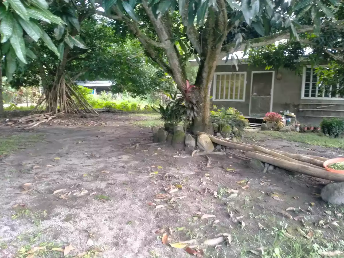 House and Lot For Sale in Banilad, Bacong, Negros Oriental — House and Lot in Dumaguete, Negros Oriental, Philippines — Photo 3