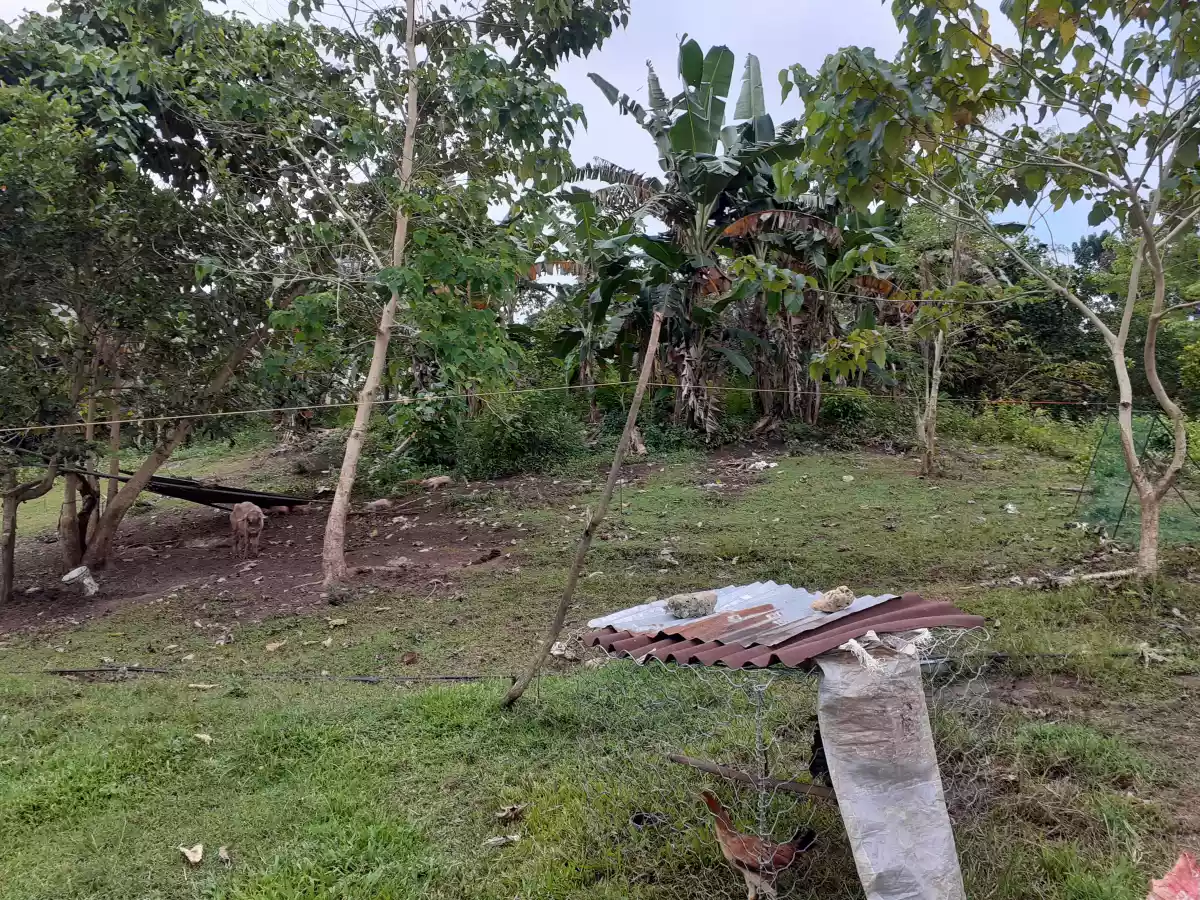 Open photo 11 of 13 — Residential Lot for sale @ indahag straight ultrawind 3,515sqm
