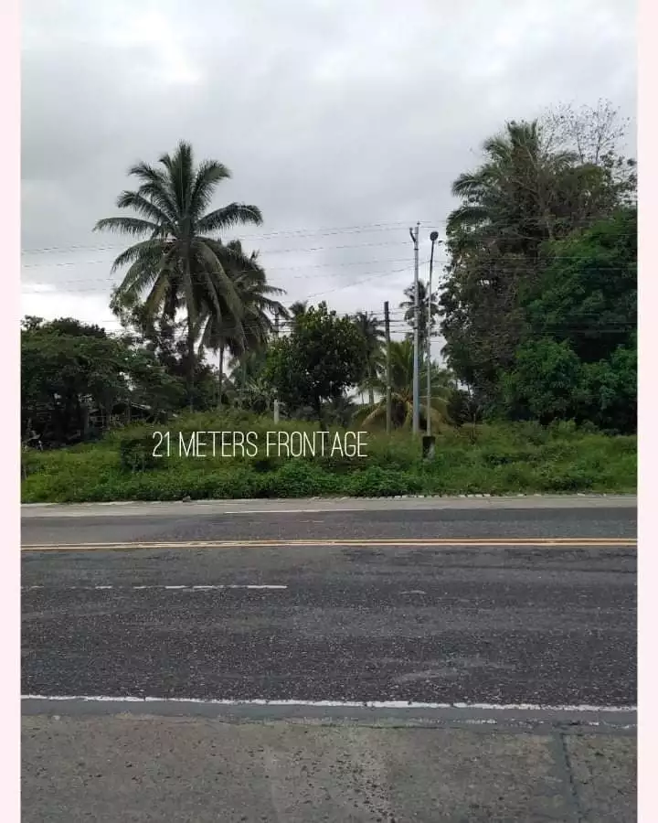 lot for sale in Silway 8 — Agricultural Lot in South Cotabato, Philippines — Photo 6