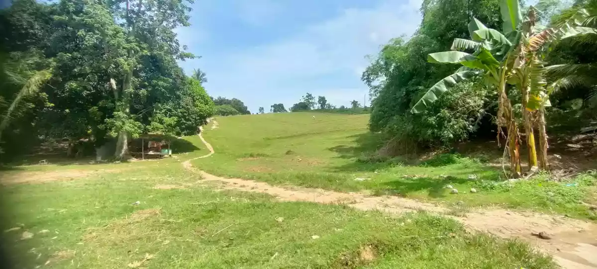  LOT ONLY with BEAUTIFUL VIEW