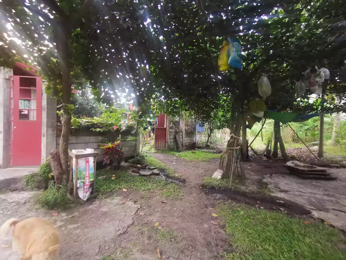 854sqm 2House and Lot Corner Lot Along Highway  - photo 5
