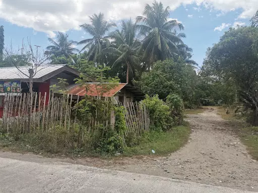 Rush lots for sale near UST — Residential Lot in General Santos City, South Cotabato, Philippines — Photo 5