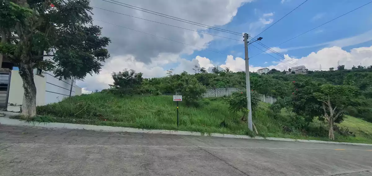 FOR SALE: Overlooking Lot with no obstruction of the sea and city view
