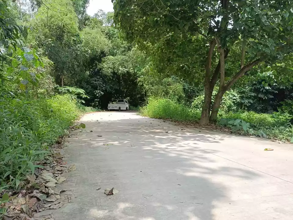 Lot for Sale in Garing, Consolacion - photo 6