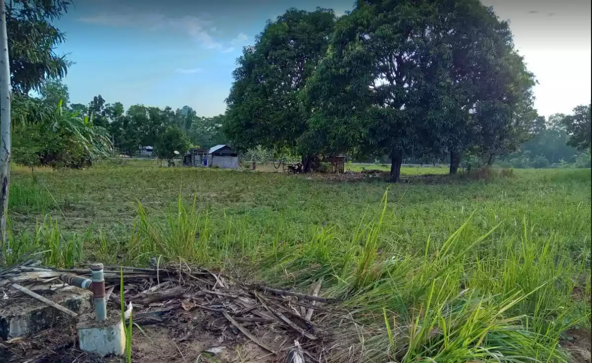 RUSH SALE AFFORDABLE SUBDIVIDED LOTS IN NARRA, PALAWAN NEAR PUERTO PRINCESA CITY - photo 3