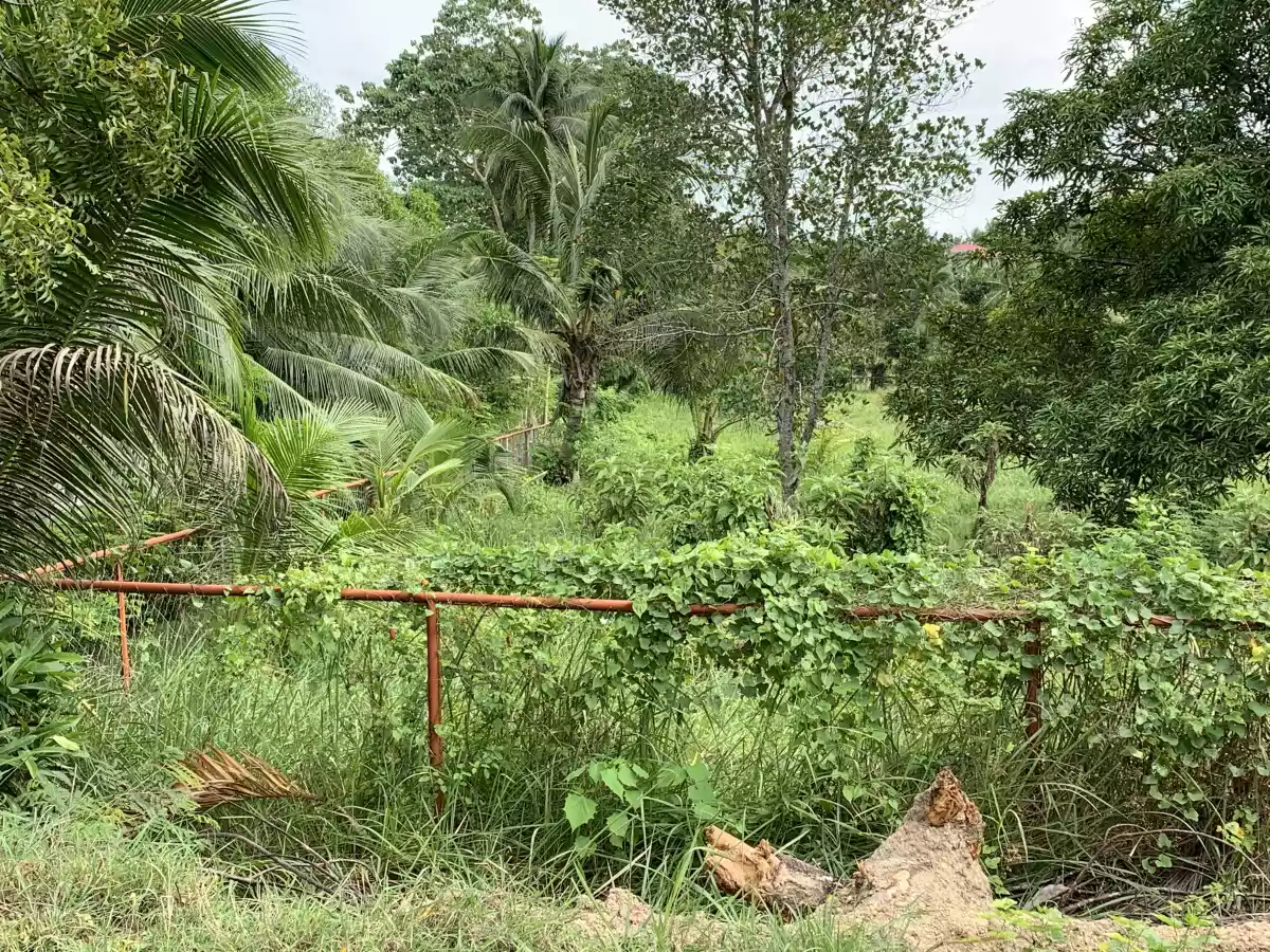 Agricultural Lot for sale 