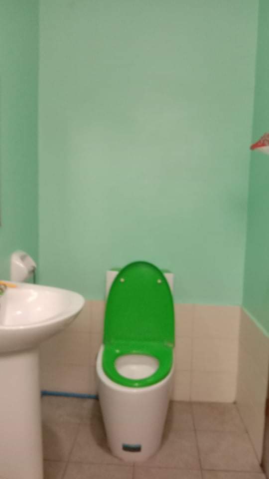 House & Lot For Sale @ Lower Calajoan,Minglanilla  - photo 7