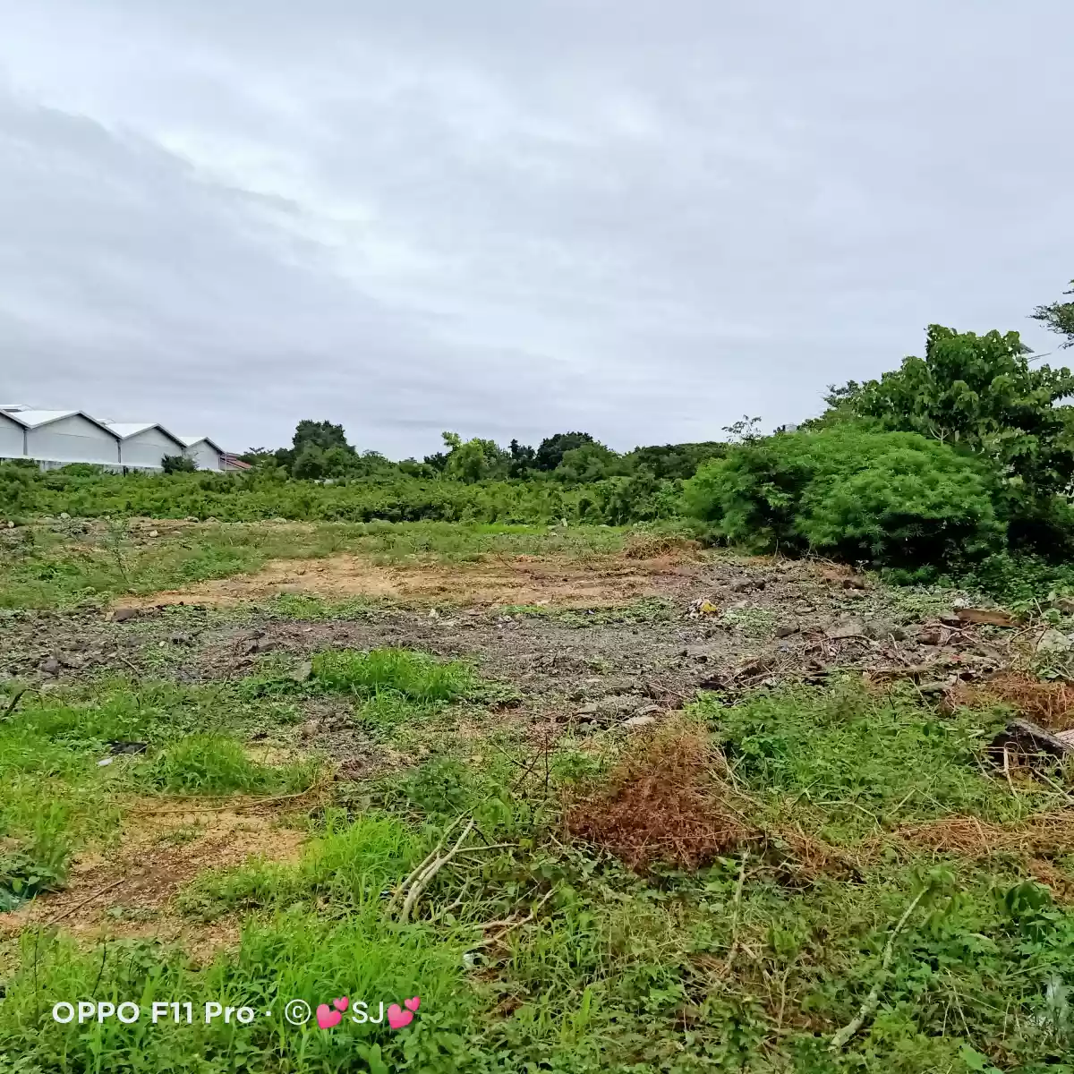 Commercial Lot in Mactan — Commercial Lot in Philippines — Photo 2