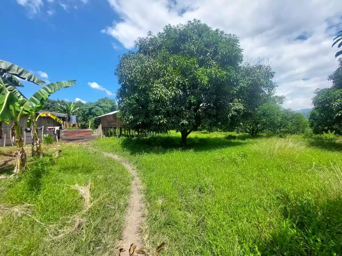 RJS LOT PROPERTY FOR SALE  - photo 5