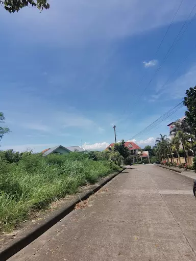 Overlooking Lot for sale in Vista Grande, Bulacao — Residential Lot in Talisay, Cebu, Philippines — Photo 4