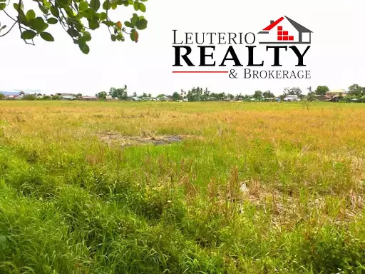Agricultural /Farmlot — Agricultural Lot in Naga, Camarines Sur, Philippines — Photo 3