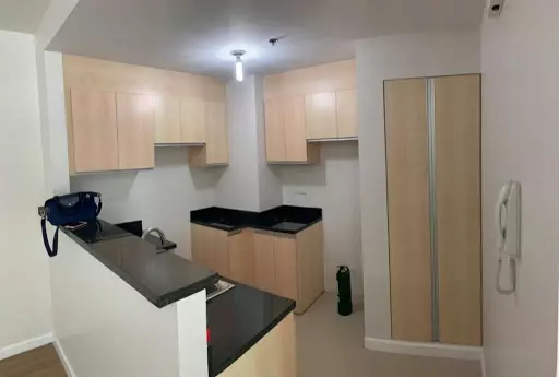2 bedroom condo in Solinea Tower 1