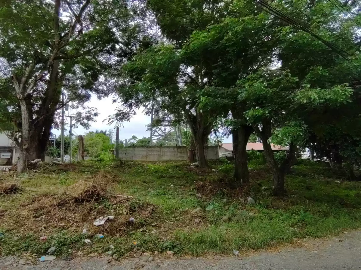 Residential Lot in Ma-a (Near Gap Farm) - photo 6