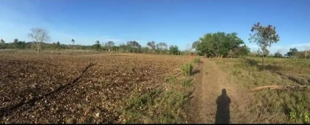 Agri lot for sale - photo 4