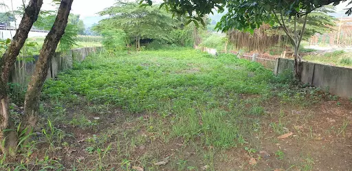RUSH 302 SQM LOT FOR SALE ALONG BARANGAY RD — Residential Lot in Consolacion, Cebu, Philippines — Photo 6
