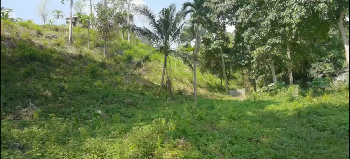 FOR SALE 6100 sqm RESIDENTIAL LOT IN KORONADAL  - photo 3