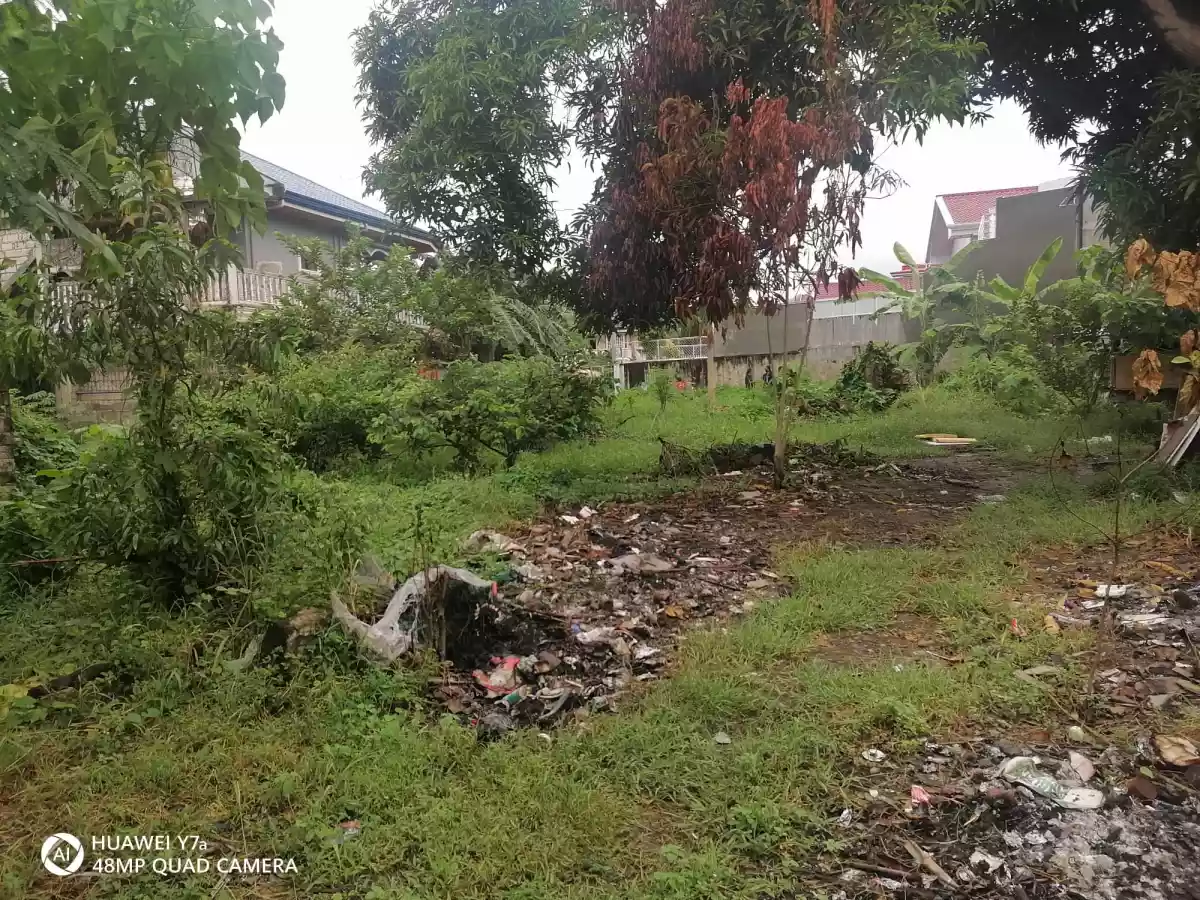 Lot for Sale - photo 3