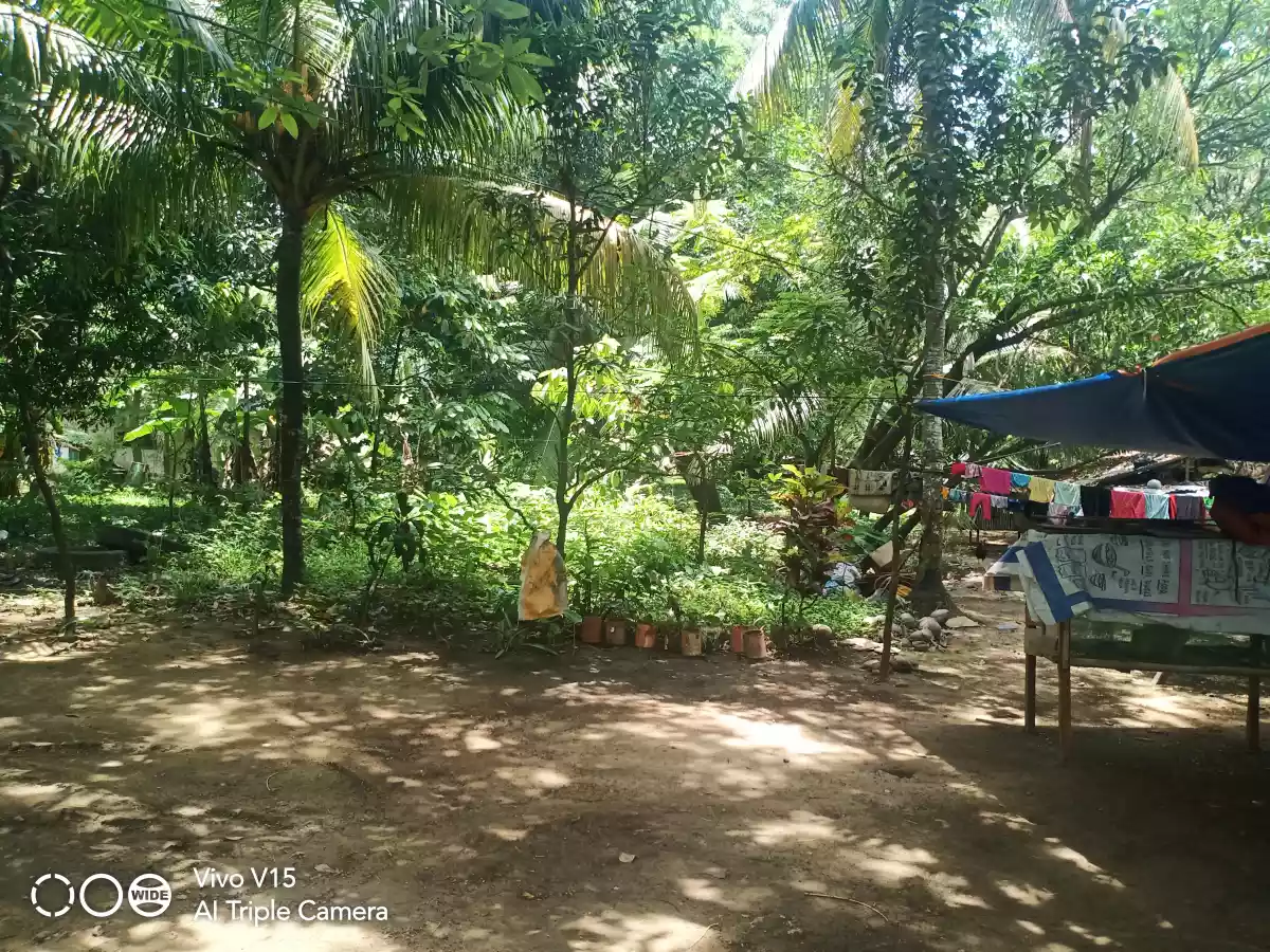 COMMERCIAL/RESIDENTIAL LOT FOR SALE IN SOUTH POBLACION, CITY OF NAGA, CEBU - photo 3