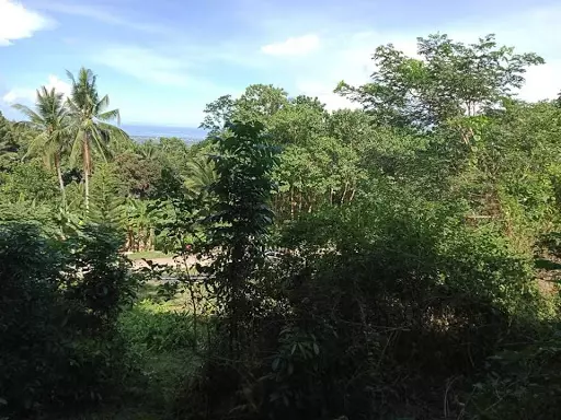 Open photo 15 of 16 — A Parcel of Land