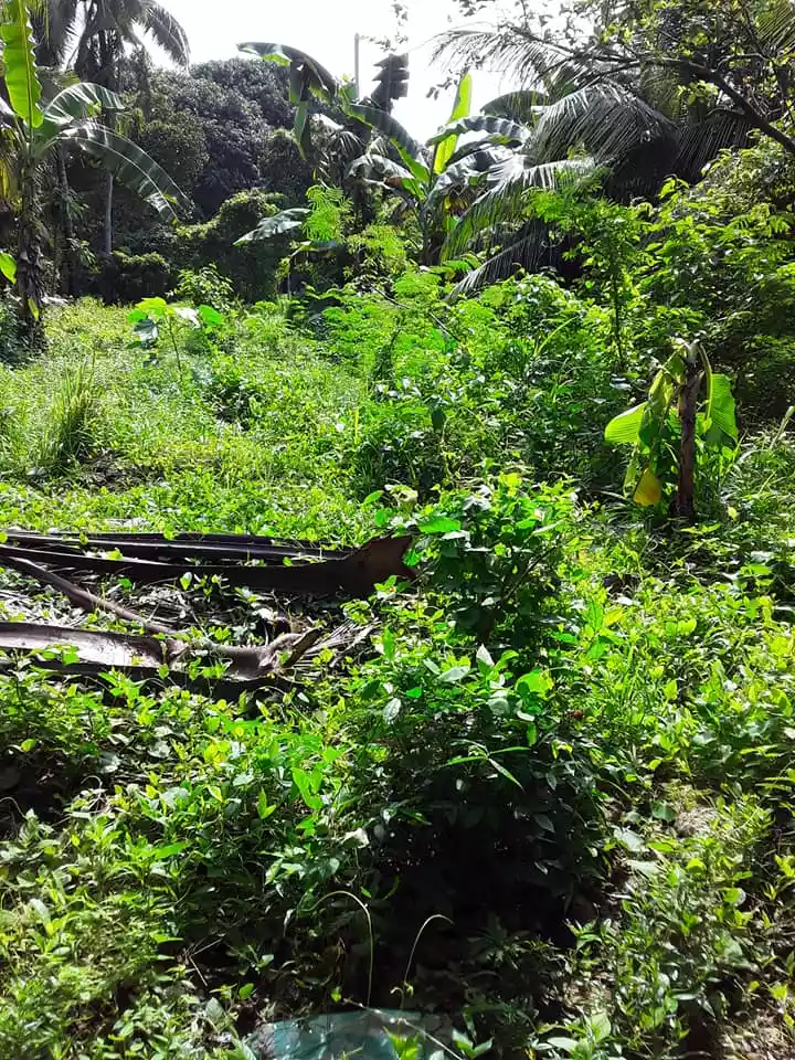 Residential Lot for Sale Compostela, Cebu - photo 6